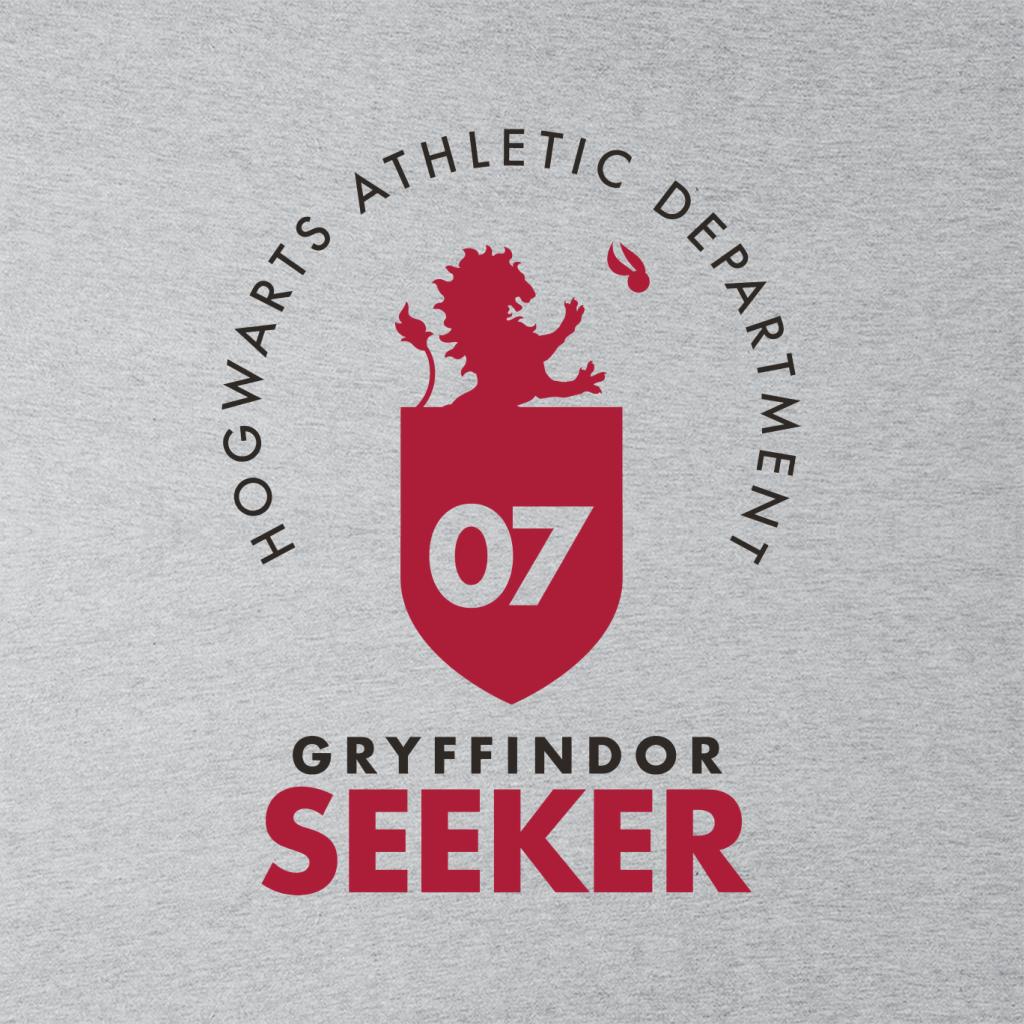 Harry Potter Gryfffindor Quidditch Seeker Men's Hooded product image 2