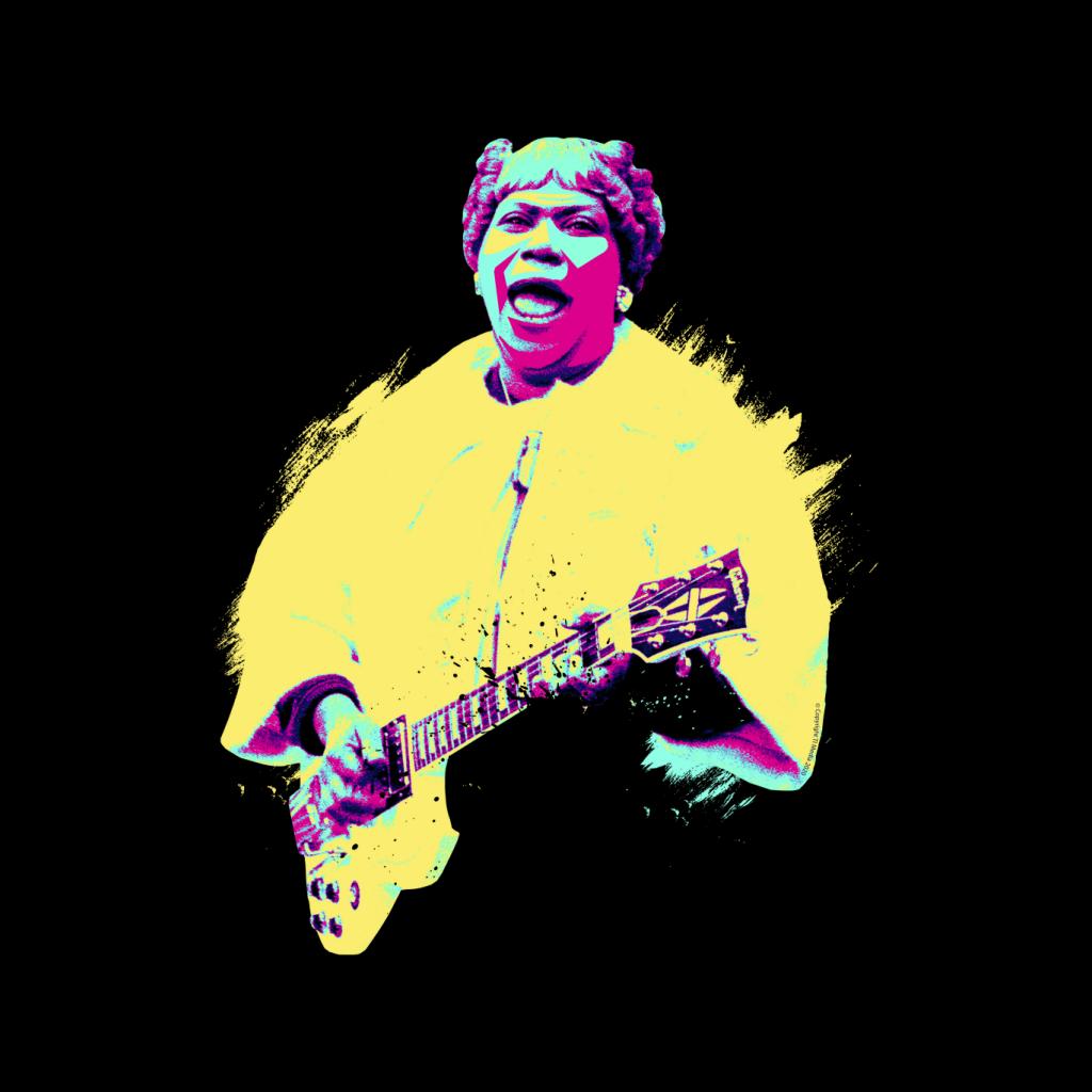 TV Times Sister Rosetta Tharpe Blues Gospel Train Pop Art product image 2