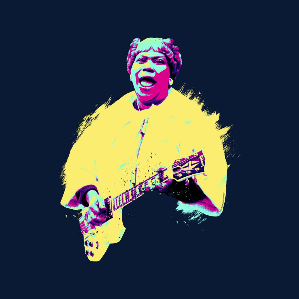 TV Times Sister Rosetta Tharpe Blues Gospel Train Pop Art product image 5