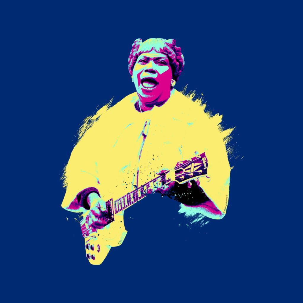 TV Times Sister Rosetta Tharpe Blues Gospel Train Pop Art product image 7