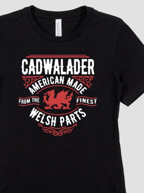 Welsh Parts : Premium Printed T-Shirts