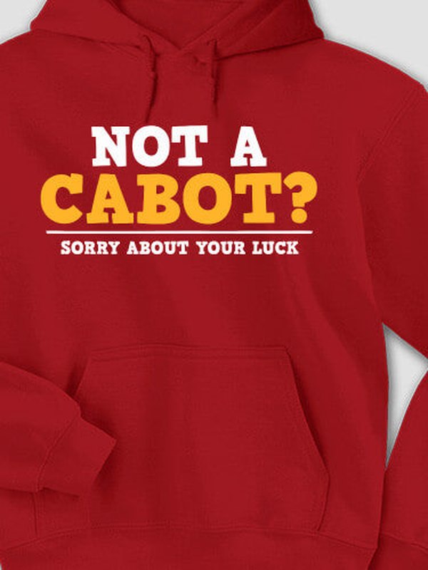Sorry About Your Luck : Printed Hoodies product image 2