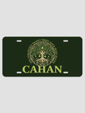 Irish Roots : License Plates