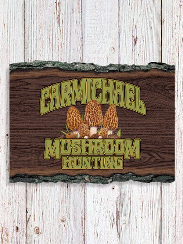 Mushroom Hunting : Faux Sliced Log Plaque
