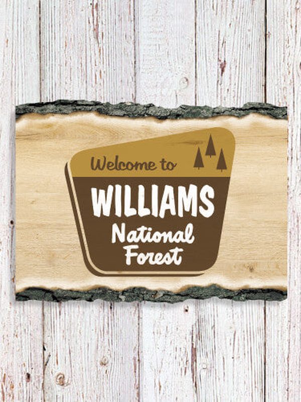 National Forest : Faux Sliced Log Plaque