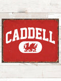 Welsh Varsity : Tin Signs