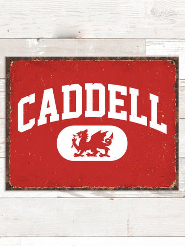 Welsh Varsity : Tin Signs