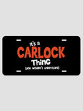 You Wouldn't Understand : License Plates
