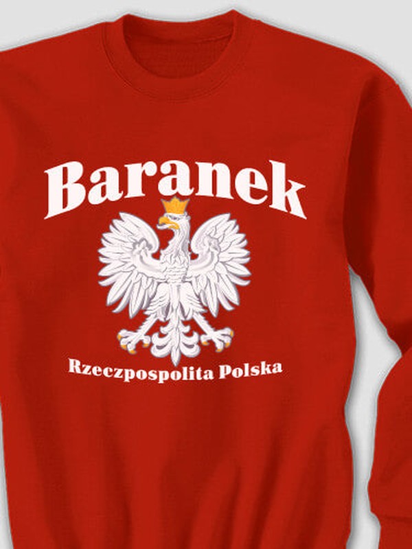 Polish Eagle : Printed Sweatshirts product image 1