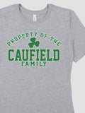 Property of Irish : Premium Printed T-Shirts