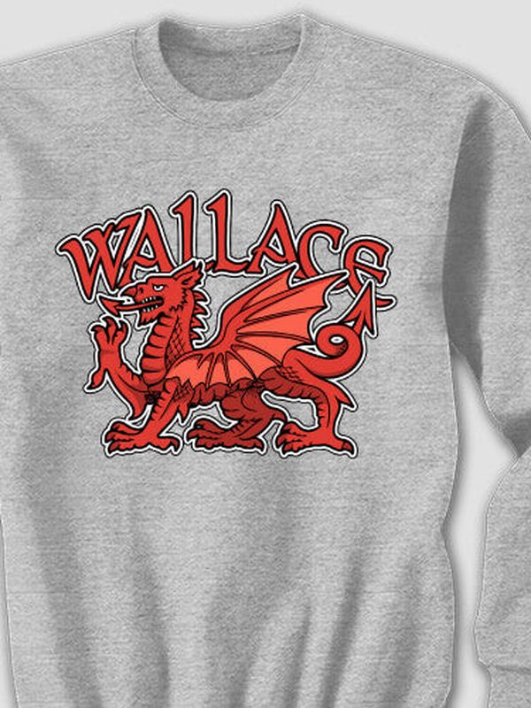 Welsh Dragon : Printed Sweatshirts product image 2